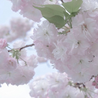 龙亭FurryQQ群介绍